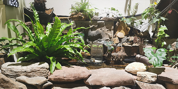 艾思荔冷熱沖擊試驗機設備與質量控制